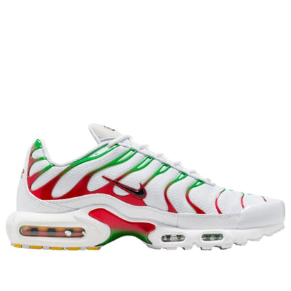 Nike Air Max Plus Italy